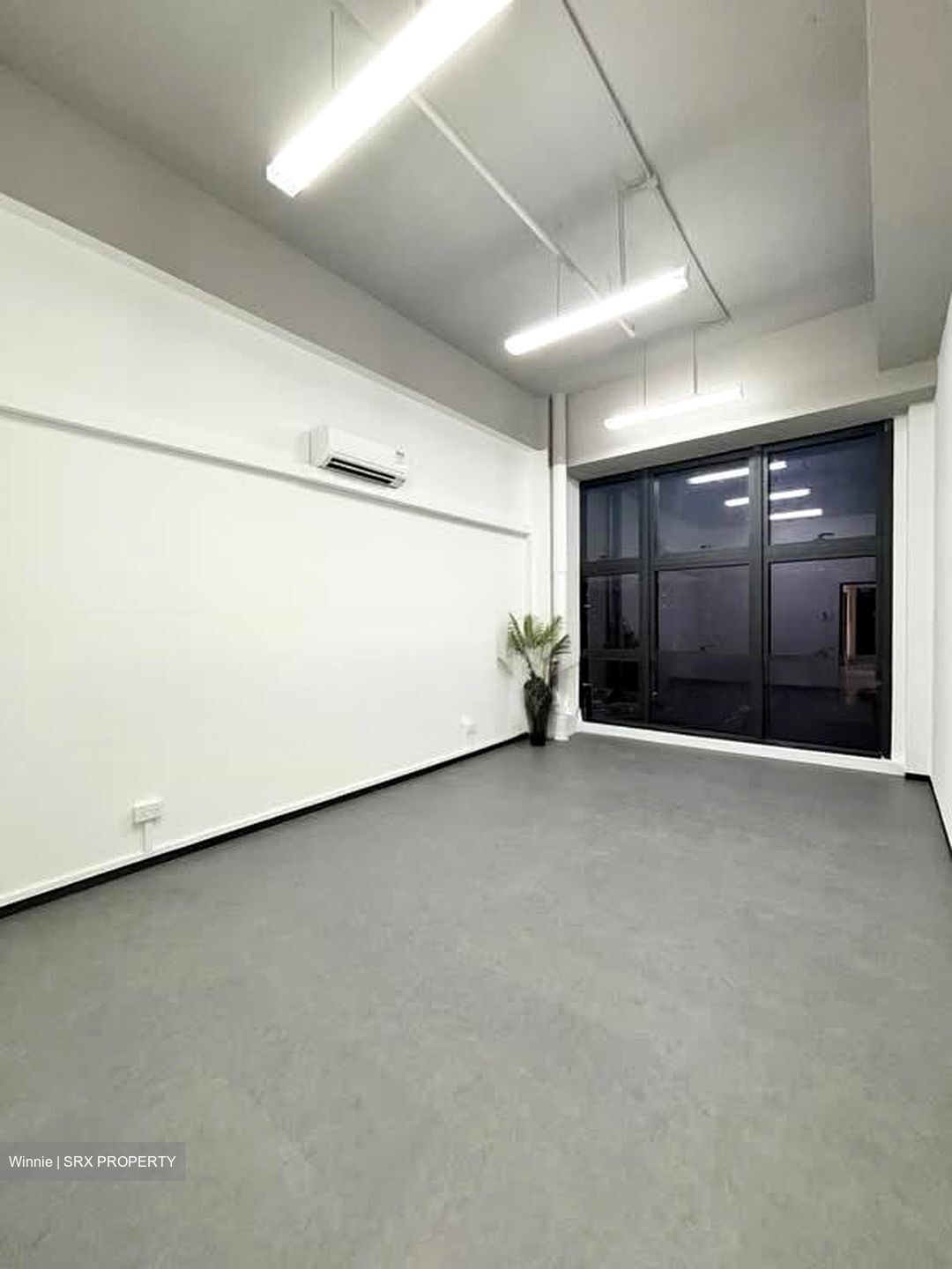 Primz Bizhub (D25), Factory #581729271